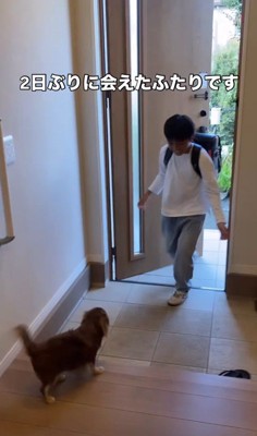 アムくんとお兄ちゃんの再会2