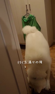 「僕も連れてって!」