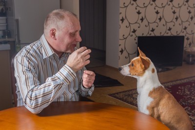 男性の話を聞いている犬