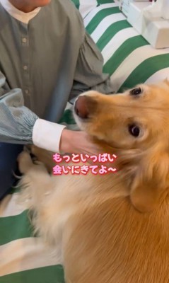 モコちゃんとお姉さんの再会9