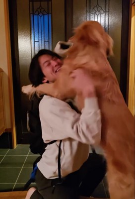 飼い主に抱きつく大型犬