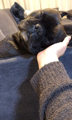 ちこ丸くんとの思い出4