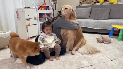 ママの膝の上をゲット