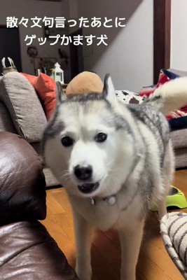 文句が止まらない