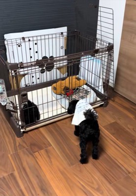 仲良くなれますように♡