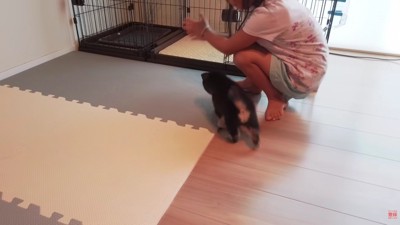 「ここがおうちだよ」