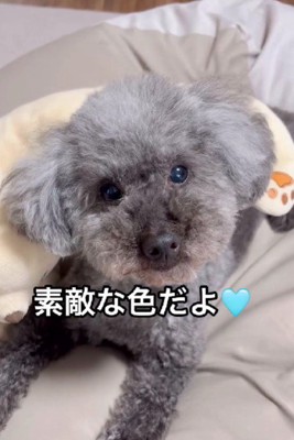 どんな姿も素敵♡