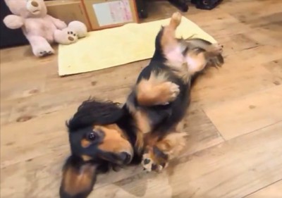 ゴロン