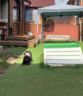 お庭でかけっこ♪