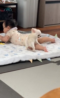 一緒に生活するふたり