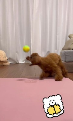 なんか取れない!!