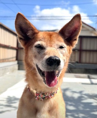 たくさんの愛で変われたよ！