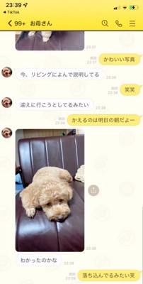 お母さんからの返信