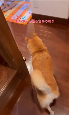 お姉ちゃん帰省時の小春ちゃん＆小太郎くん7