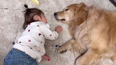 微笑ましい光景でした♡