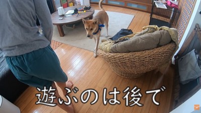 散歩中にお母さんに会った時のワンジローくん