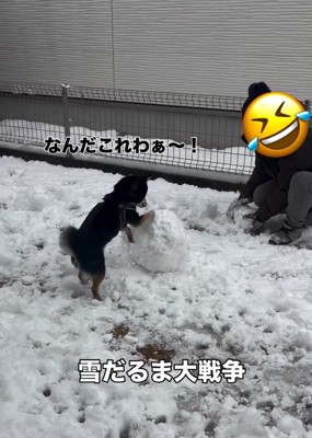 雪だるまを壊す千幸ちゃん