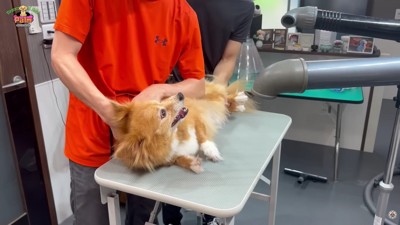 徐々に落ち着いて…