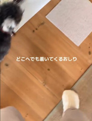 また移動すると…