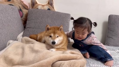 優しさ伝わる光景に涙…