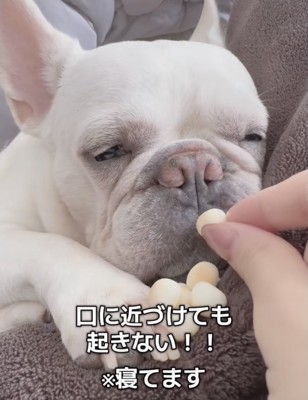 ボーロが食べられるビッグチャンス