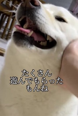 心行くまで満喫