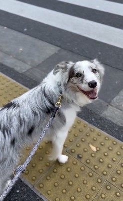 「わかってるよ！」