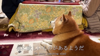 欲しいのはこっち…