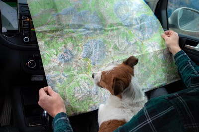 地図を見ている様子