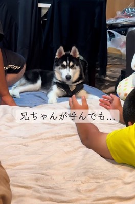 塩対応のアイスくん2