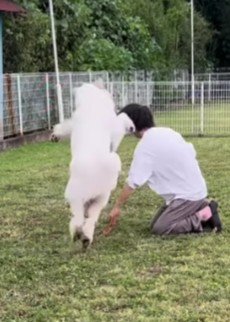 容赦なくアタック(笑)