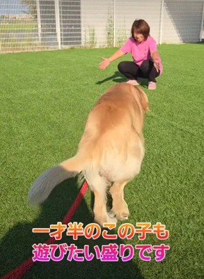 元気いっぱいのわんぱくさん