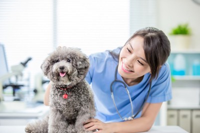 犬と女性獣医師