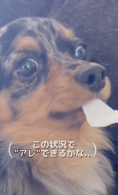 アレできるかな