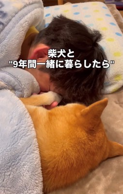 布団の中で飼い主と向き合う犬
