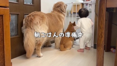 仲良しな3兄妹