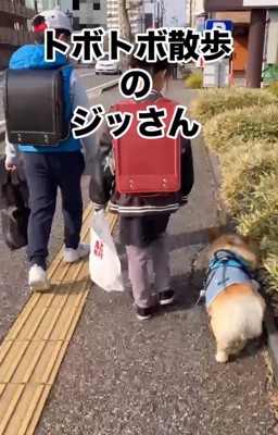 トボトボ散歩する犬