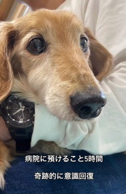 「今死んでもおかしくない」