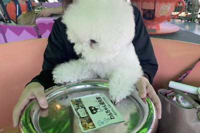 上手に回してます