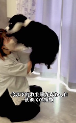 特大ジャンプでお出迎え！！