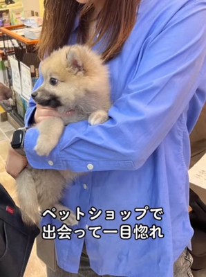 子犬を抱っこする女性