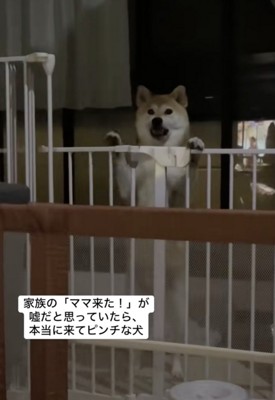 言い分があります