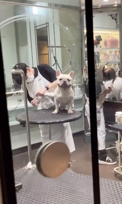 こっそり覗き見…