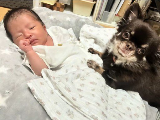 愛に溢れた光景にほっこり