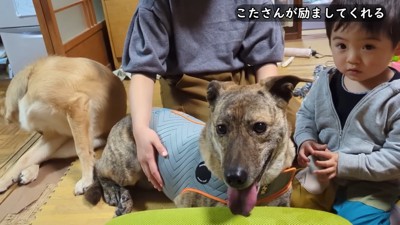 雷を怖がるりゅうさん＆励ます家族⑩