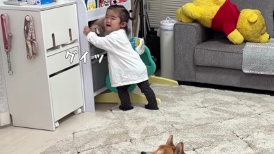 全部入りきらない！！