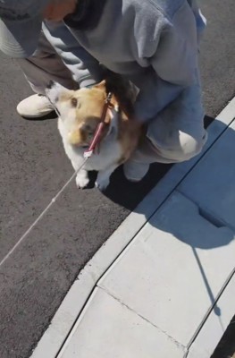 初対面とは思えない…♡