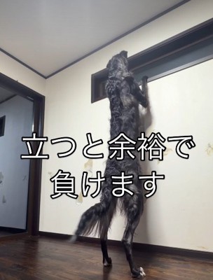 ご主人よりも背が高い