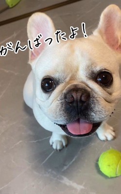 こんなに綺麗な目に!!