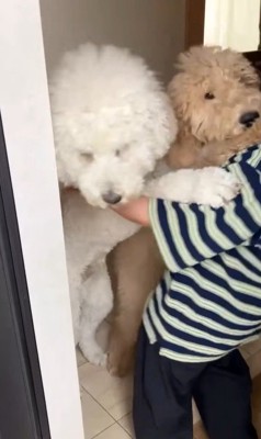 ますお君&まるお君とママさんの再会6